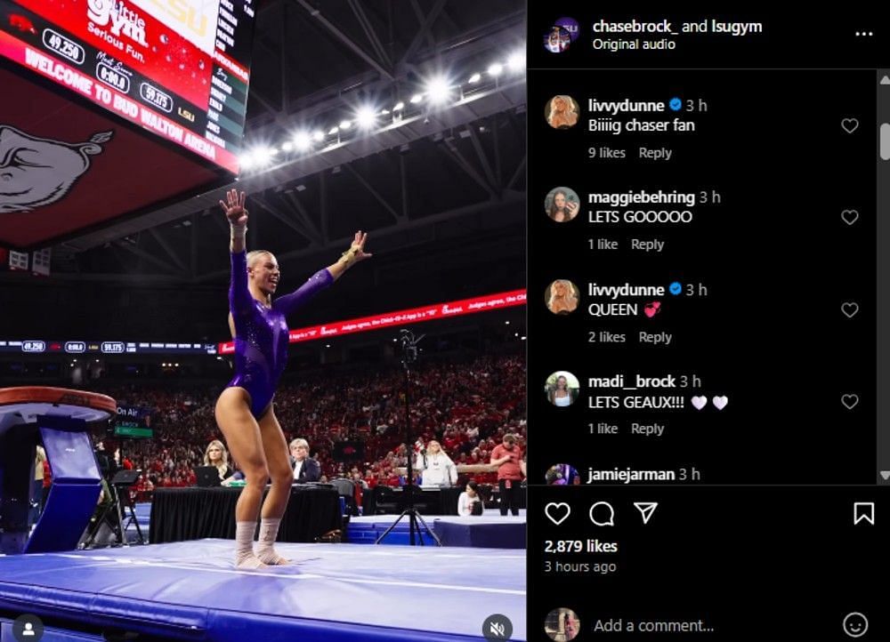 Screenshot of the Instagram post's comment section.